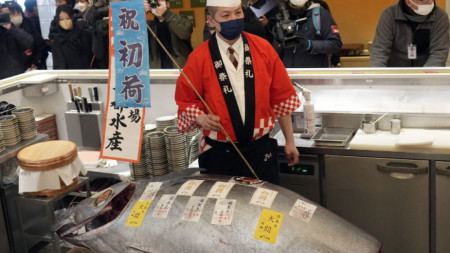 212-килограмовата риба бе продадена за 36,04 милиона йени
