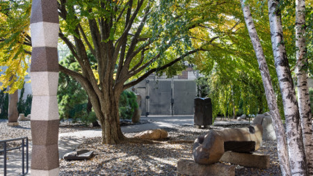 Дворът на музея 