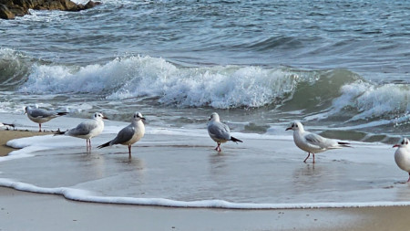 Морско настроение