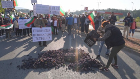 Протести организирани от Национално сдружение на българските лозари ще се
