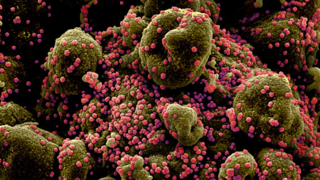 Британският вариант на новия коронавирус противно на предишните опасения не