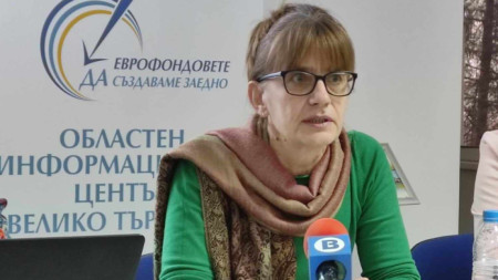 Мариела Цонева, дирекция 