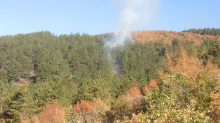 Пожарът край село Селиминово (30 август)