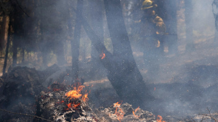 Най мащабният активен пожар в САЩ който бушува в щата Орегон