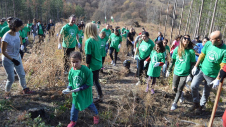Организацията Гората бг продължава с кампанията за засаждане на дървета На