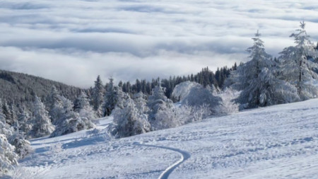 Pe Vitosha