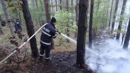Пожарът над Дренково бе локализиран тази сутрин.