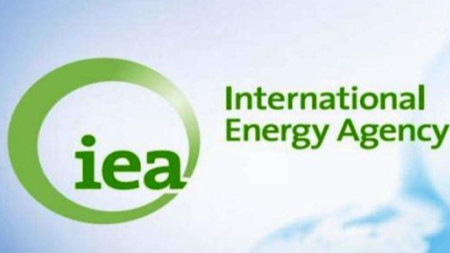 Международна агенция за енергетика (МАЕ) 
