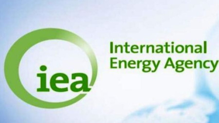 Международна агенция по енергетика (МАЕ, IEA)
