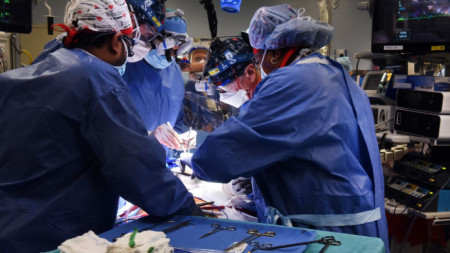 Трансплантацията е извършена от учени на Университета на Мериленд в Балтимор 