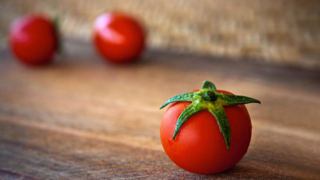 Как растенията могат да станат по-издръжливи и устойчиви?