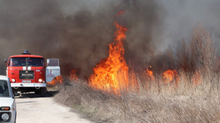 Суха растителност и тръстика са засегнати от пожар в Калимок Бръшлен Приблизително