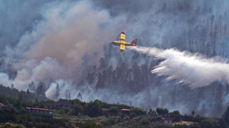 Пожарът на о-в Тенерифе, 23 юли 2022 г.