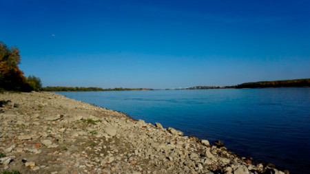 Нивото на реката при Видин