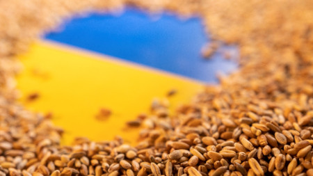 Загубите в украинския сектор на зърнените култури и маслодайните семена