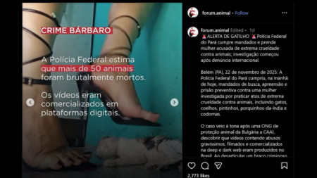 Публикация в 