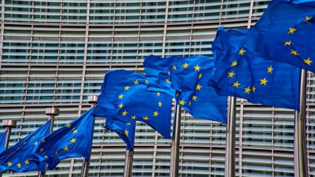 Европейската комисия изплати от името на ЕС 600 млн евро
