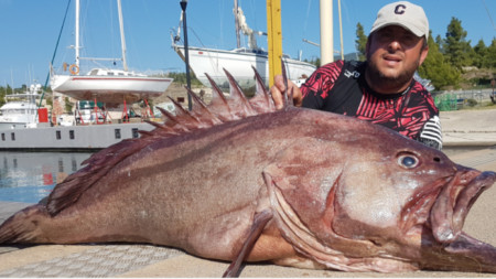 Виктор Лучиянов