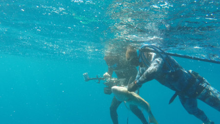 Подводният риболов е екстремът който съчетава комплексни спортни умения с