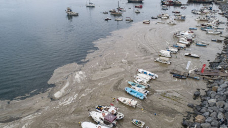 Президентът на Турция Реджеп Ердоган обеща да спаси бреговете на