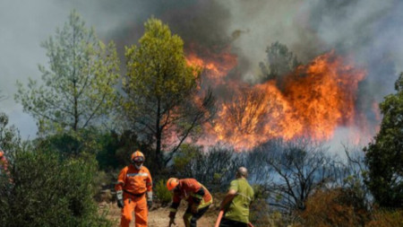 И днес продължава гасенето на големия горски пожар над село