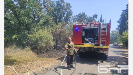 Пожарникар от екипа, изпратен да угаси пожара в парк 