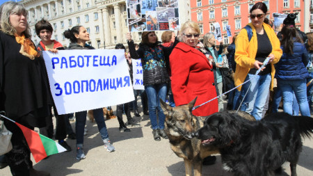 Участници в протеста пред Министерски съвет срещу нарастващата агресия към животни.