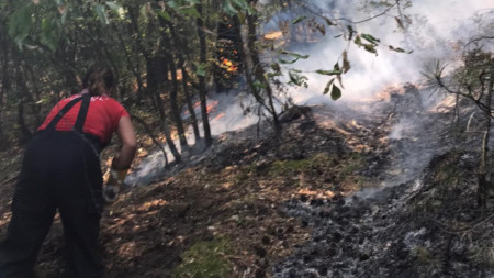 В гасенето на пожара край село Югово в Родопите участват и доброволци, 22 август 2021 г.