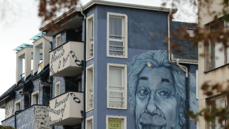 Фасада с лика на Айнщайн в столичния Студентски град 