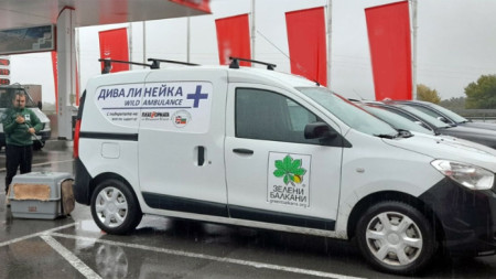 Спасителният център е единствената в България 