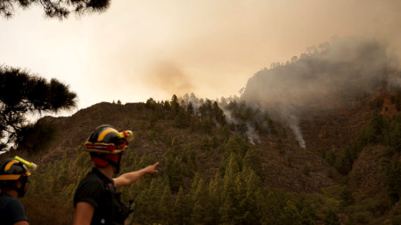 Пожарникарите се борят с горския пожар в Канделария, Тенерифе, Канарските острови, Испания, 16 август 2023 г.