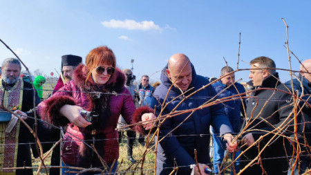 Областният управител Мария Нейкова и кметът на Поморие Иван Алексиев зарязват лозята
