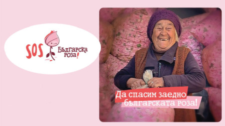 SOS Българска роза е каузата на третия сезон на първото