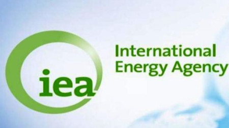Международна агенция по енергетика (MAE)