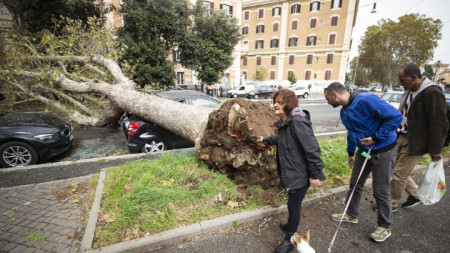 Повалено от силните ветрове дърво е паднало върху кола в Рим.