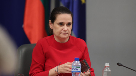 Гинка Машова, заместник-министър на труда и социалната политика