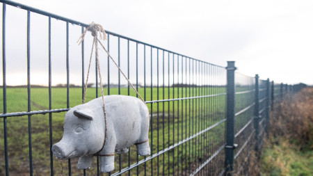 Играчка-прасенце е закачена на оградата по границата между Дания и Германия, изградена, за да спира преминаването на диви прасета и разпространението на АЧС