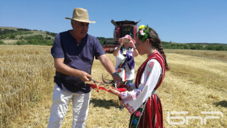 Николай Киров, председател на Съюза на зърнопроизводителите - Бургас