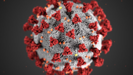 Китайските учени няма вече да разглеждат версията че коронавирусът е
