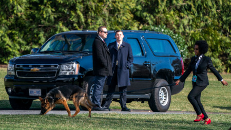 Командър се разхожда на поляната на Белия дом в очакване на стопанина си.