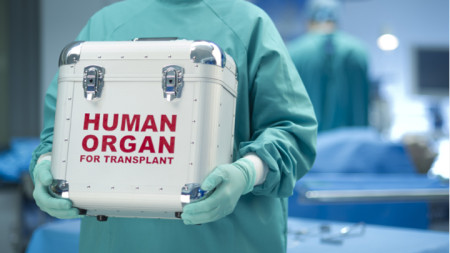 Ниският брой трансплантации у нас се дължи на нереформираната система