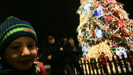 Пред НДК започна празник за пускането на светлините на Коледната елха на София