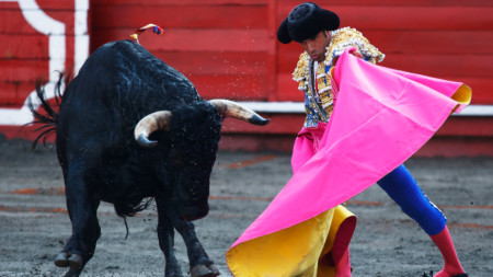 Борба с бикове в Манисалес, Колумбия, 13 януари 2024 г.