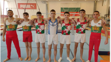 Седем гимнастици участваха в контролното на националния отбор.