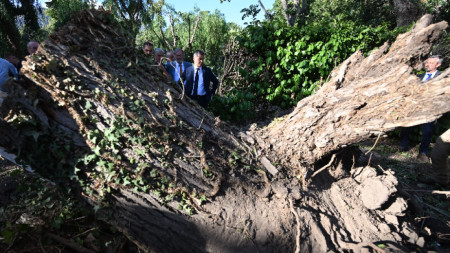 Френският вътрешен министър Жералд Дарманен гледа паднало дърво в Корсика, 18 август 2022 г.