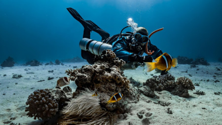 Морско дъно 