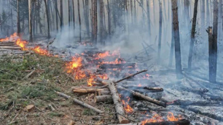 6000 дка гори са засегнати от пожара в Свиленградско.