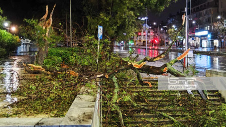 The aftermath of the hurricane-force winds in Varna