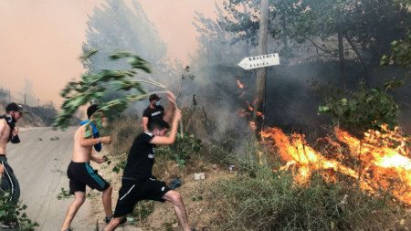 Алжирци се опитват да угасят пожар в планинската провинция Тизи Узу.