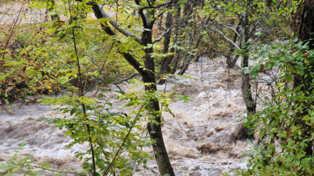 Снимката е илюстративна